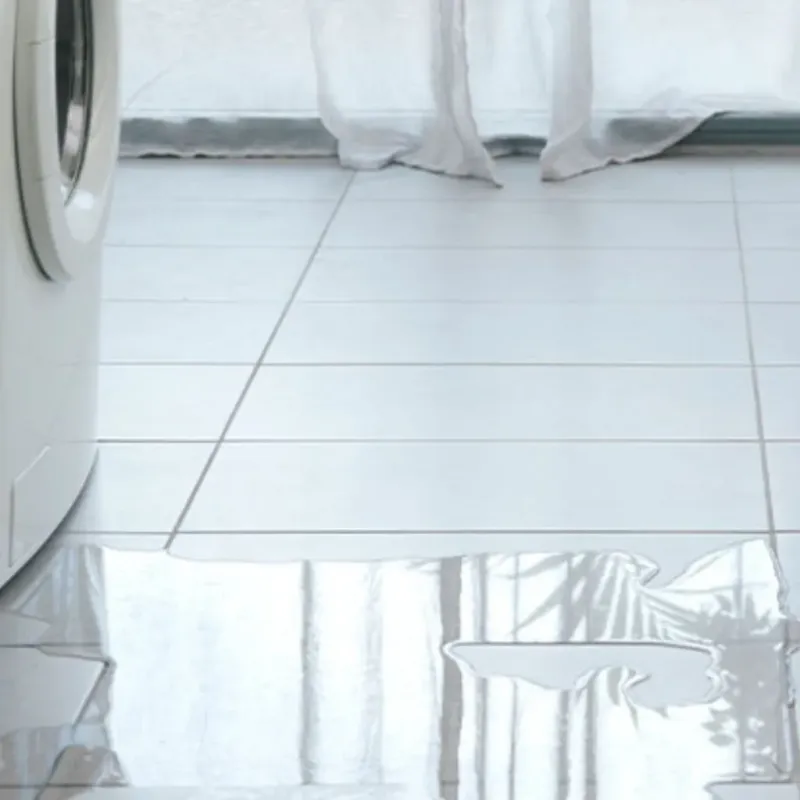 Appliance Leak Cleanup in Seminole County, FL